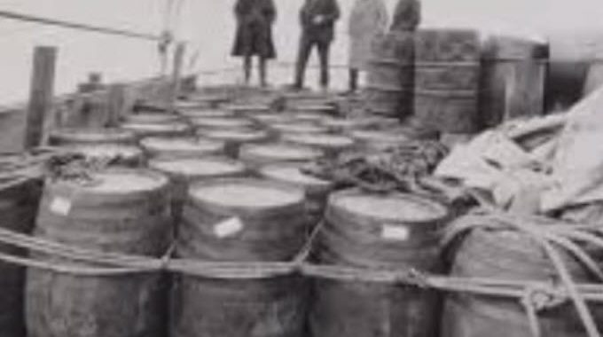Photo: Seized Liquor During Prohibition